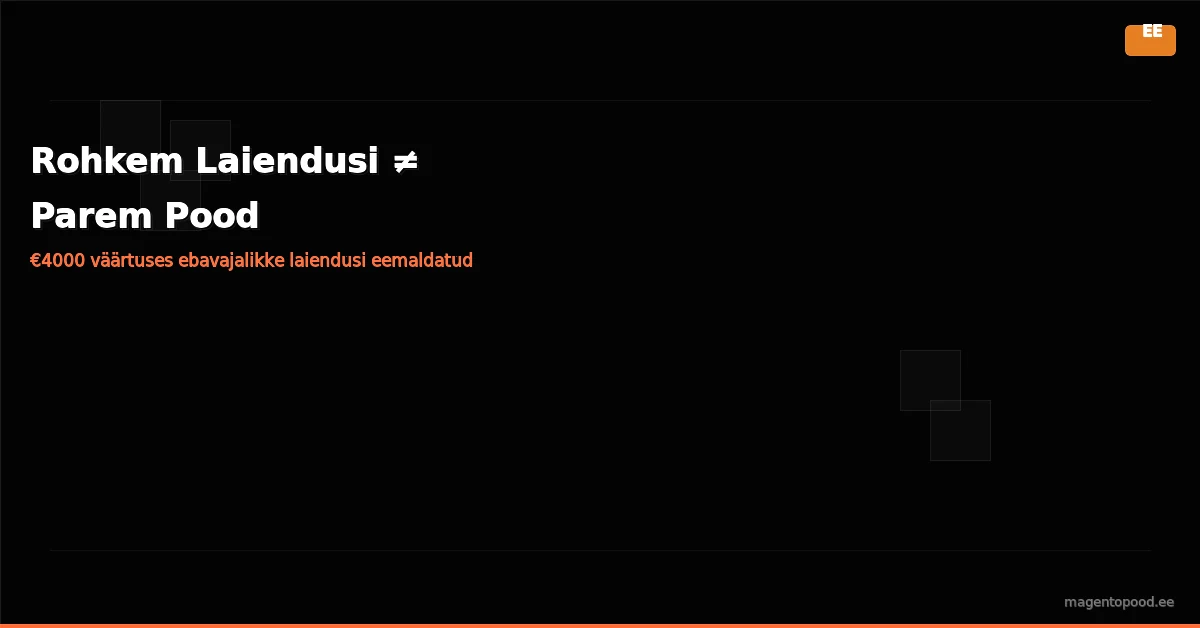 Vahem laiendusi parem pood banner